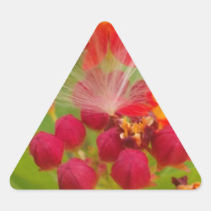 Lovely Colourful Floral with Milkweed Art Print Triangle Sticker