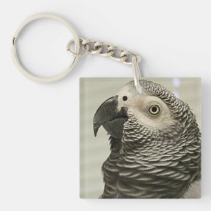Lovely Congo African Grey Parrot Keychain