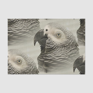 Lovely Congo African Grey Parrot Tissue Paper