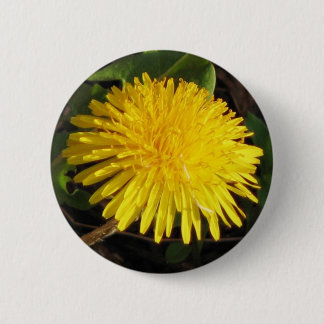 Lovely Dandelion 2 Inch Round Button