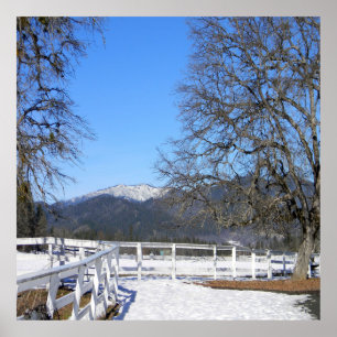 Lovely day in Winter..... Poster