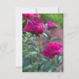 Lovely Deep Pink Garden Peonies Card