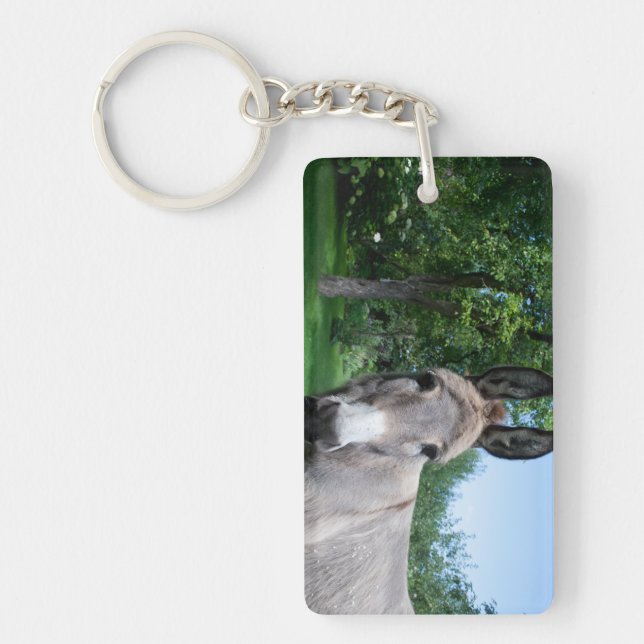 Lovely Donkey Portrait Keychain (Front)
