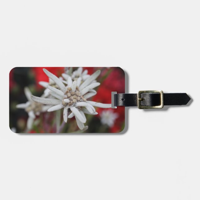 Lovely Edelweiss Leontopodium nivale Luggage Tag (Front Horizontal)