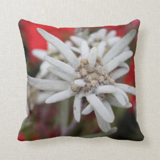 Lovely Edelweiss Leontopodium nivale Throw Pillow