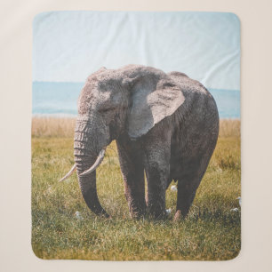 LOVELY ELEPHANT SHERPA BLANKET