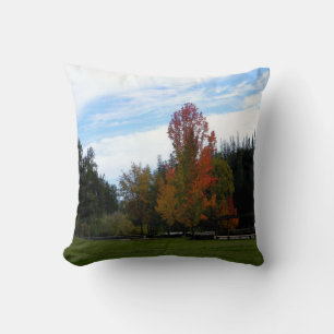 Lovely Fall Day... Throw Pillow
