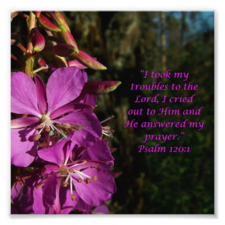 Lovely Flower Scripture Psalm 120:1 Photo Print