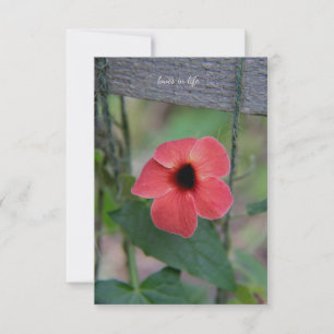 Lovely Garden Vine  Card