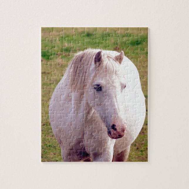 Lovely Gray Pony Jigsaw Puzzle (Vertical)