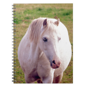 Lovely Grey Pony Notebook