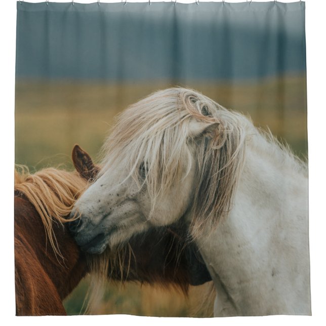 LOVELY HORSE COUPLE (Front)