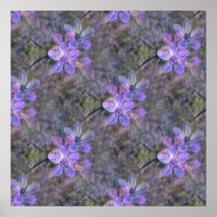 Lovely  in   Spring.. Poster