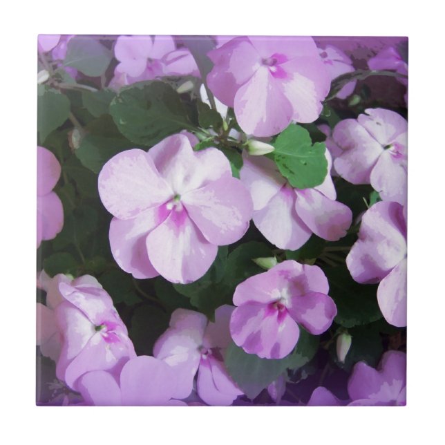Lovely Lavender Impatiens Tile (Front)
