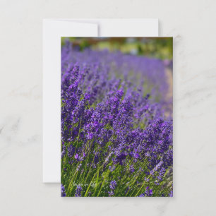 Lovely Lavender Row Card