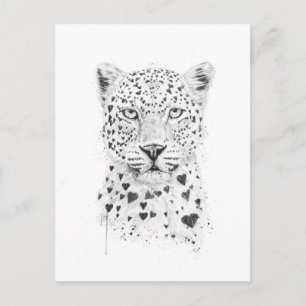Lovely leopard postcard