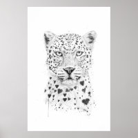 Lovely leopard