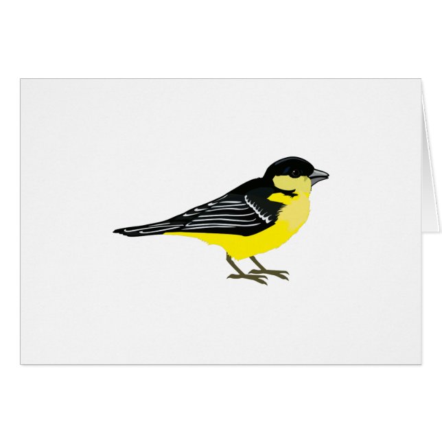 Lovely Lesser Goldfinch (Devant Horizontal)