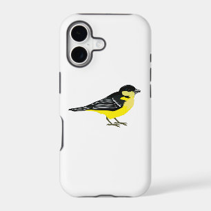 Lovely Lesser Goldfinch