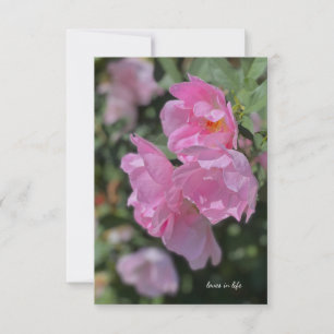 Lovely Light Pink Roses  Card