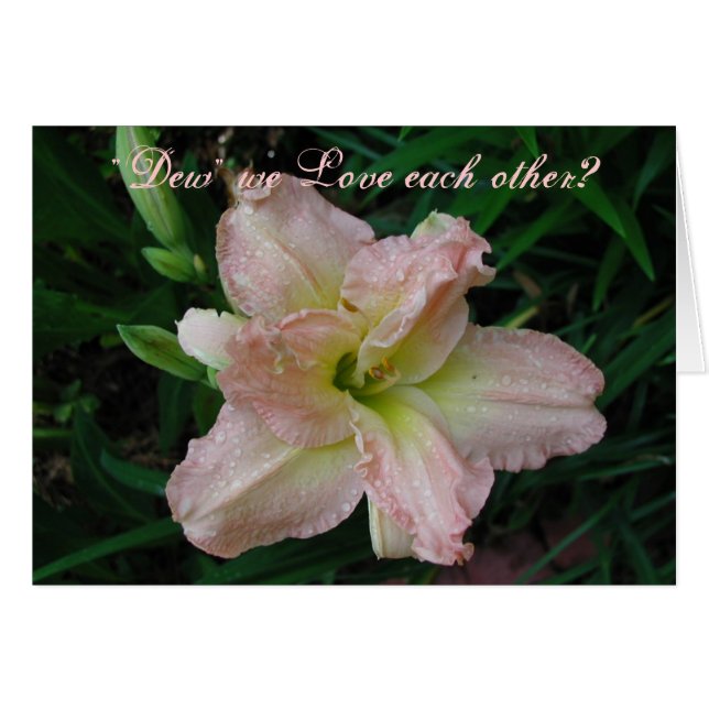 Lovely Lily (Front Horizontal)