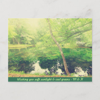 Lovely Little Pond Lush Green Tree Leaves Sunlight Postcard