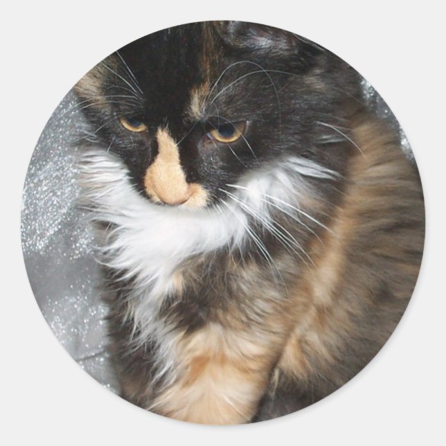 Lovely Lucy Bell Classic Round Sticker (Front)