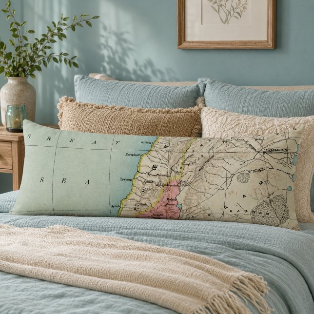 Lovely Map of Israel Body Pillow (Creator Uploaded)
