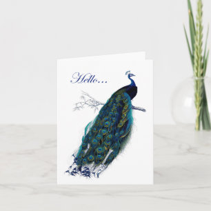 Lovely notecard featuring a gorgeous peacock