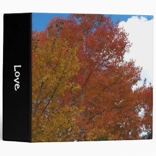 Lovely Orange Fall Colours Binder