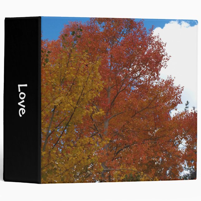 Lovely Orange Fall Colours Binder (Front/Spine)