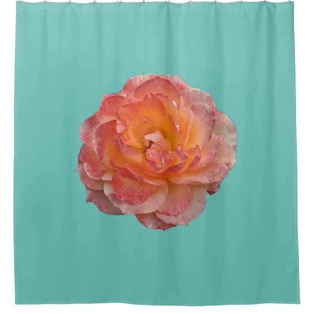 Lovely orange peony (Front)