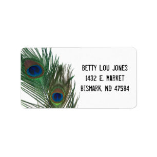 Lovely Peacock Feathers with White Label