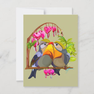 Lovely Pekin Robin Bird Pair Postcard