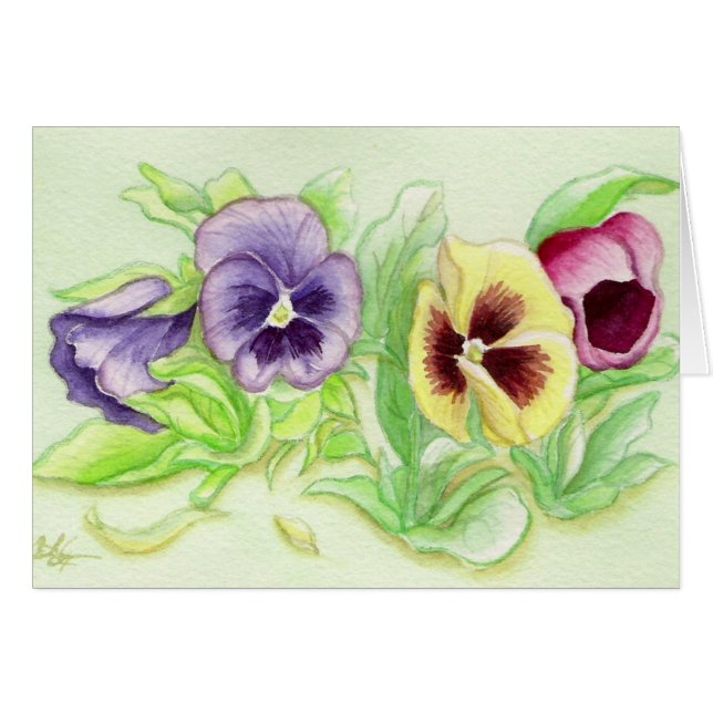 Lovely Pensies (Front Horizontal)