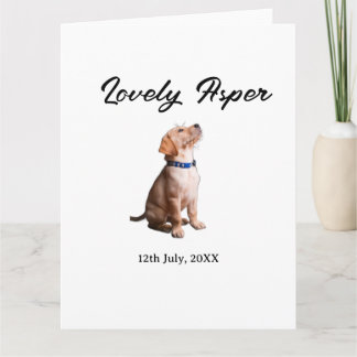 lovely pet name date photo bar drinks on us weddin card