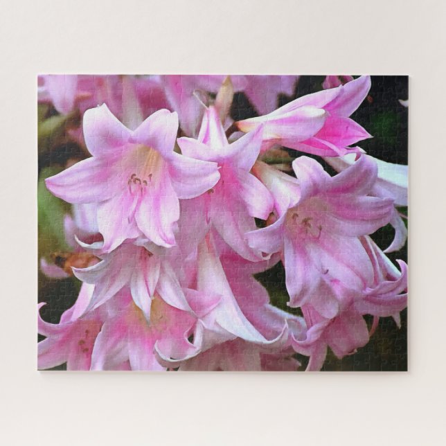 Lovely Pink Belladonna Amaryllis Lilies Jigsaw Puzzle (Horizontal)