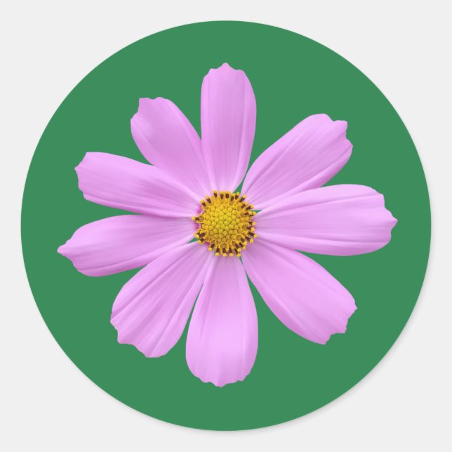 Lovely pink flower classic round sticker (Front)