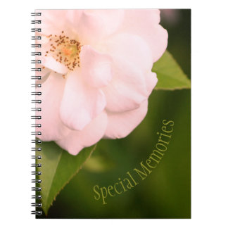 Lovely pink flowering rose notebook