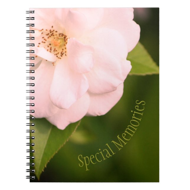 Lovely pink flowering rose notebook (Front)