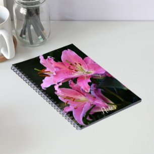 Lovely Pink Lily Blooms Floral Notebook