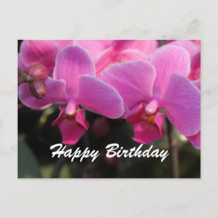 Lovely pink orchid flowers. Birthday wishes Postcard