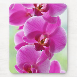 Lovely Pink Orchids Mouse Pad