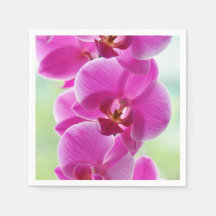 Lovely Pink Orchids