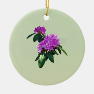 Lovely Pink Rhododendrons Ceramic Ornament