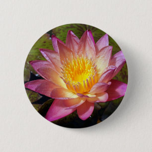 Lovely Pink Water Lily 2 Inch Round Button
