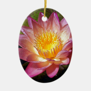 Lovely Pink Water Lily Ceramic Ornament