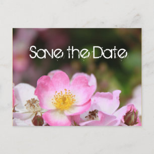 lovely pink wild rose flower wedding save the date announcement postcard