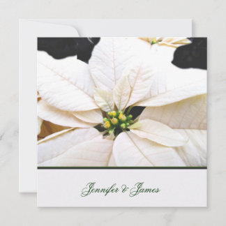 Lovely Poinsettia Wedding Invitation