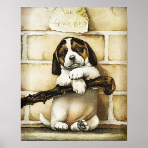 Lovely Puppy  Poster